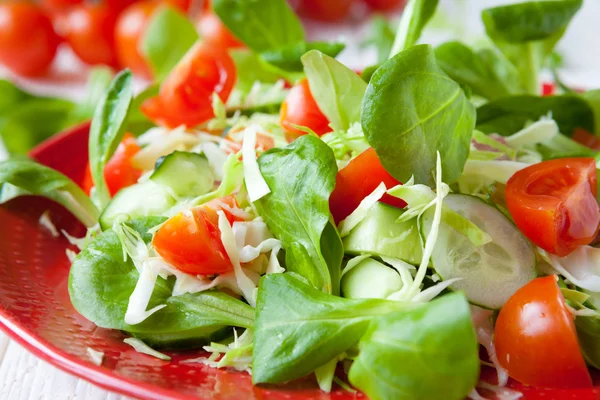 Friss tavaszi saláta, káposzta — Stock Fotó