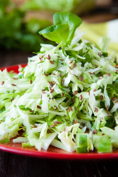 Young cabbage salad, close up — Stock Photo, Image