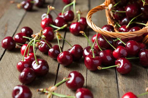 Cerises juteuses mûres sur la table — Photo