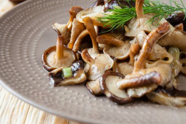 kavrulmuş shiitake mantar plaka