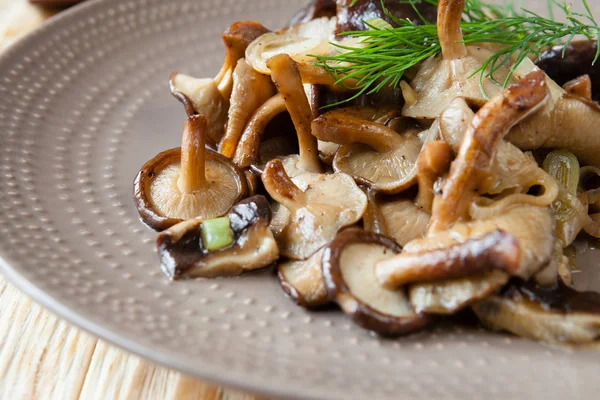 Pražená shiitake houby na talíři — Stock fotografie