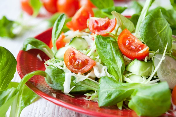 Salada de legumes fresca de verão — Fotografia de Stock