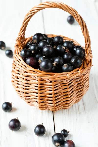 Black currant in a basket — Stock Photo, Image