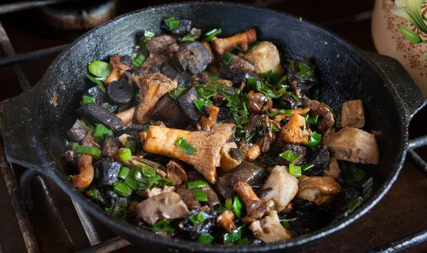 Assorted mushrooms is fried in a pan — Stock Photo, Image