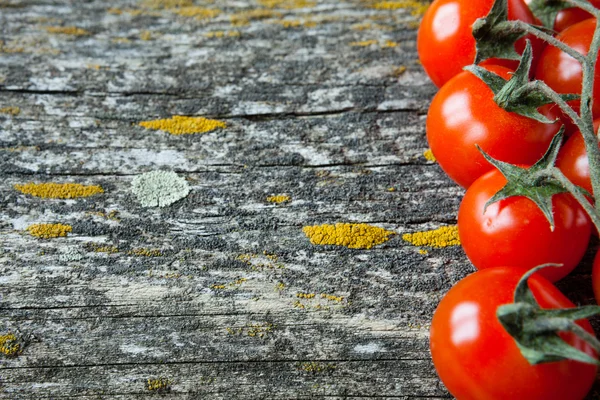 Tomato on the old board — Stock Photo, Image