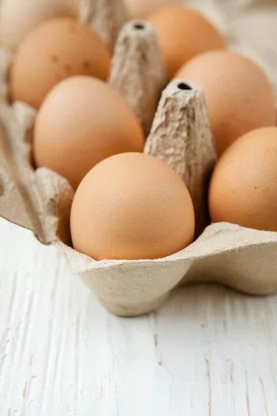 Biohuevos marrones frescos en una bandeja — Foto de Stock