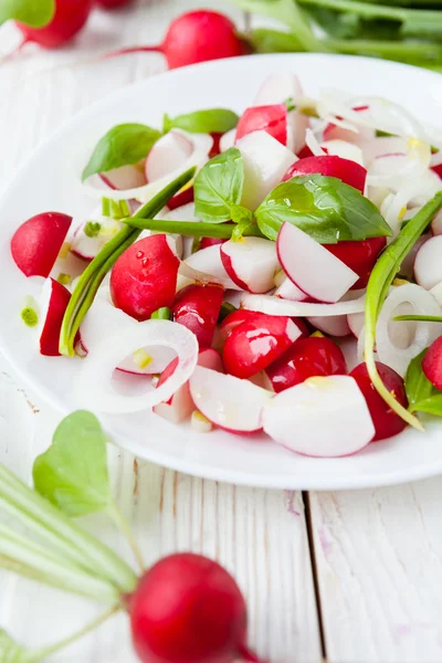 Salad with fresh radishes and onions — Stock Photo, Image