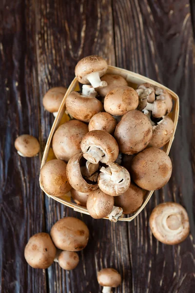 Cogumelos em uma cesta, vista superior — Fotografia de Stock