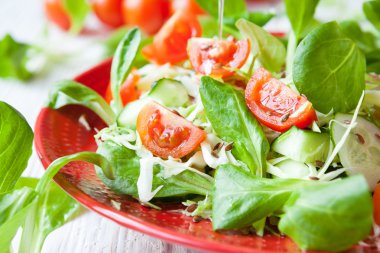 bitkisel yağ ile taze sebze salatası