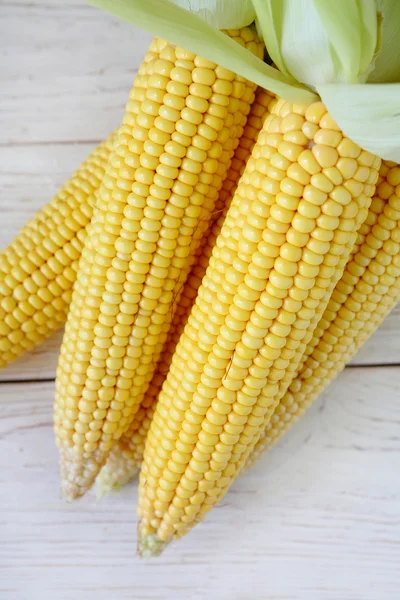 Gele jonge maïs op de kolf — Stockfoto