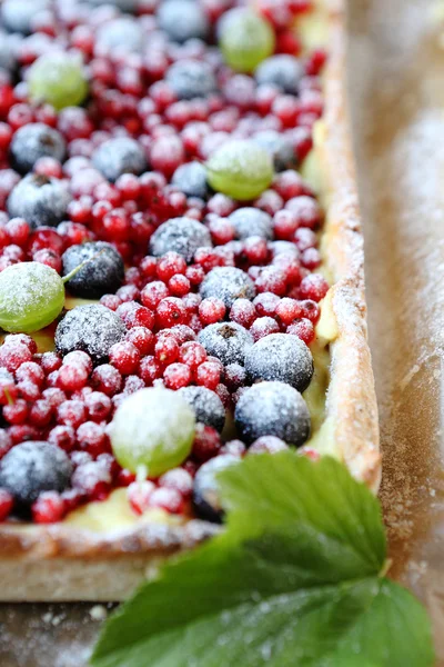 Square cake with berries in powdered sugar, tart — Stockfoto