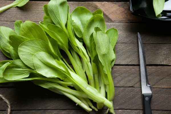 Fresh leaves of Chinese cabbage salad — Stock Photo, Image