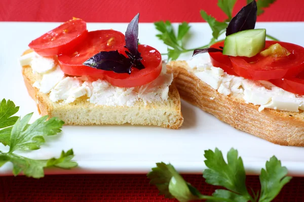 Tostadas con queso y rodajas de tomate en un plato — Foto de Stock