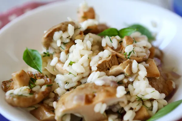 Risoto de cogumelos close-up em tigela branca — Fotografia de Stock