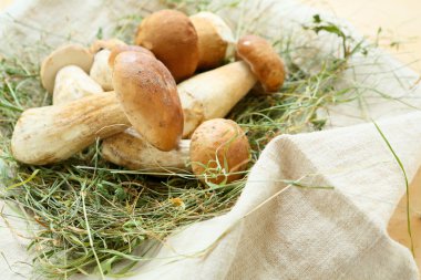 porcini mantar üzerinde saman yığını