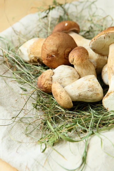 Bunch of boletus mushroom in the hay — Stock Photo, Image
