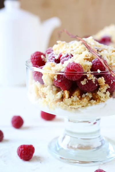 Delicious raspberry dessert — Stock Photo, Image