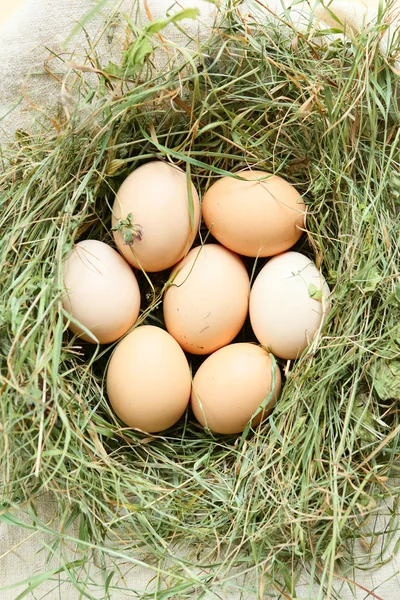 Färska ägg i ett rede med hö, ovanifrån — Stockfoto