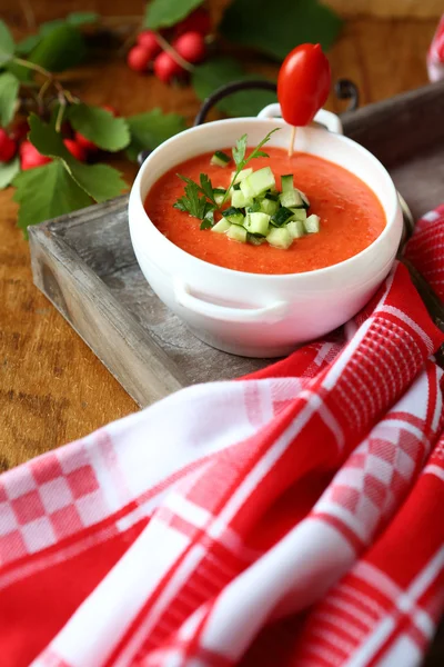 Türkische Tomatensuppe mit Linsen — Stockfoto