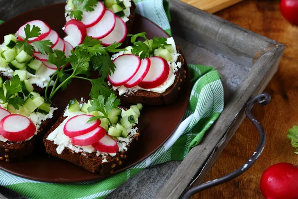 Bruschetta with soft cheese and radish on the plate — Stock Photo, Image