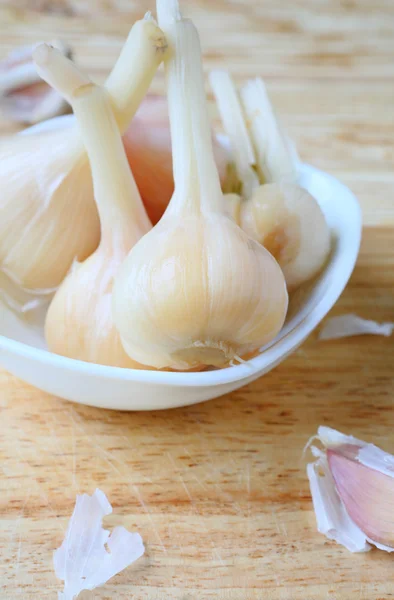 Hlava nakládaný česnek v bílé misce — Stock fotografie