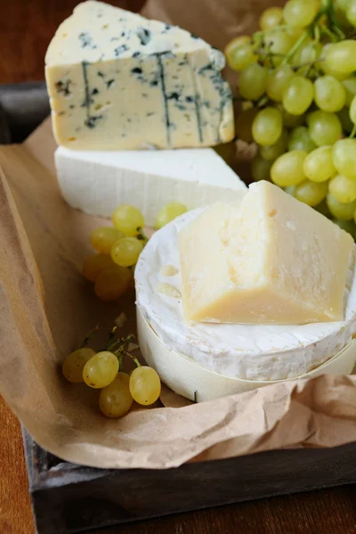 Verschillende soorten kaas op een dienblad — Stockfoto