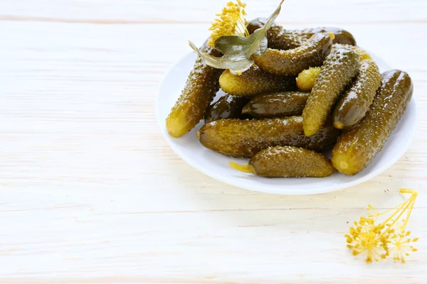 Pepinos en escabeche en un plato blanco — Foto de Stock