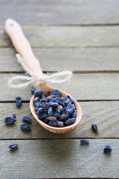 Trockene Berberitze blau - Gewürz — Stockfoto