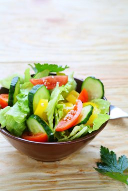 taze bahar sebze salatası