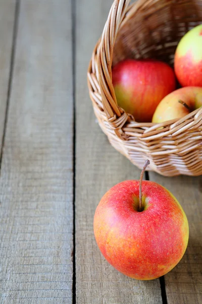 Fresh red and yellow apple and a basket — Stock Photo, Image