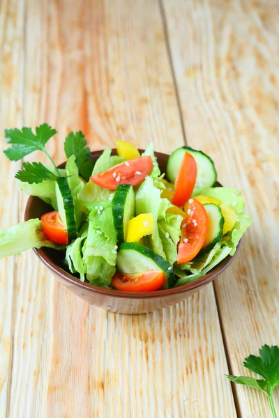 饮食新鲜的蔬菜沙拉 — 图库照片