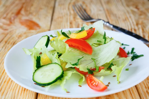 Kızarmış sebze salatası — Stok fotoğraf