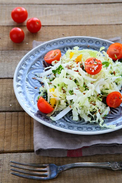 Fresh salad with cabbage dietary — Stock Photo, Image