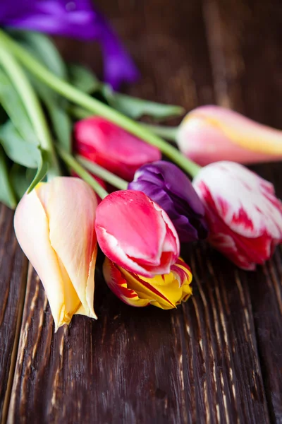 Kytice z čerstvých tulipánů — Stock fotografie