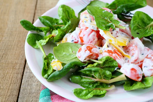 Salade van paprika, tomaten met Griekse yoghurt — Stockfoto