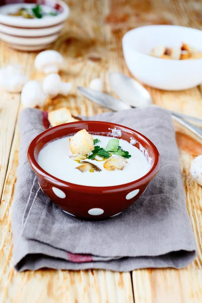 Puré de sopa de hongos — Foto de Stock