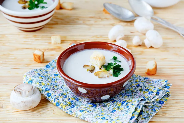 Soppa med fältet champinjoner och grädde — Stockfoto