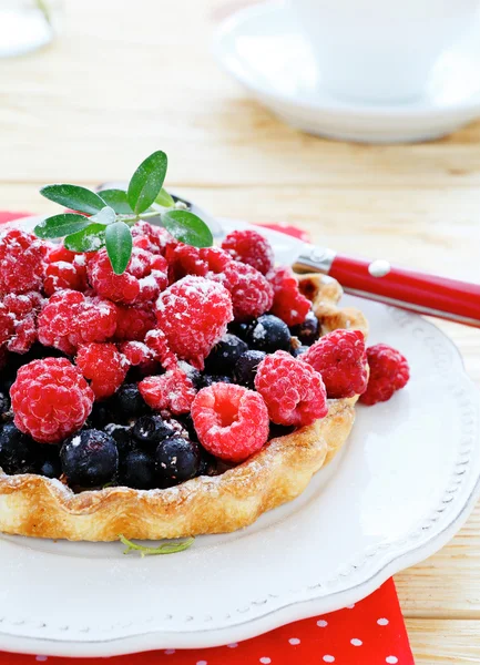 与树莓和醋栗的迷你蛋挞 — 图库照片