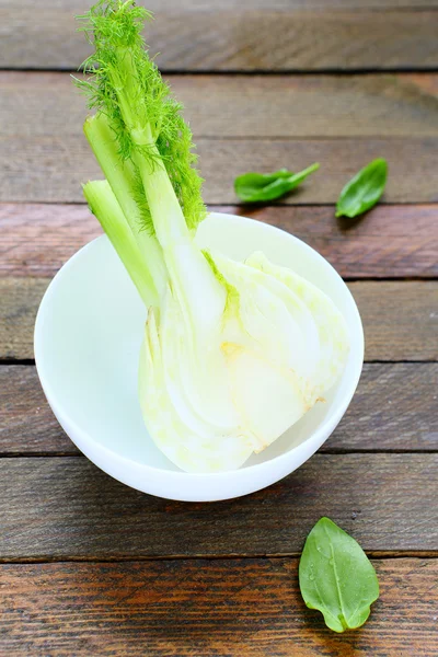 Half fennel bulb in salad bowl — Stock Photo, Image