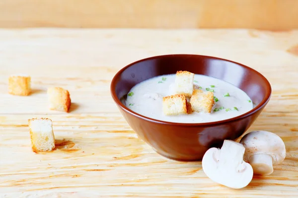 Crema de sopa de champiñones — Foto de Stock