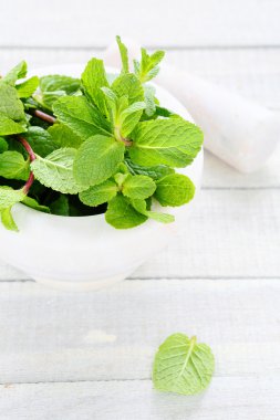 Beyaz harç içinde taze nane