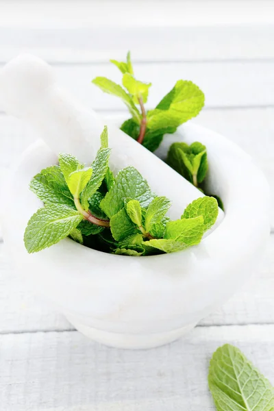 Hortelã verde em argamassa branca — Fotografia de Stock