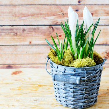 Tencerede beyaz çiçek