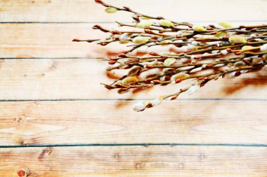 Willow twigs ahşap zemin üzerinde