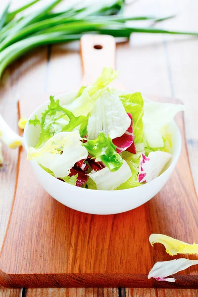 Mistura de alface folhosa para salada — Fotografia de Stock