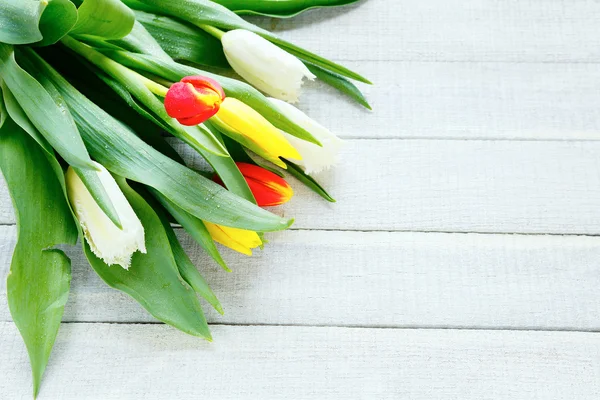 Kytice rozkvetlé tulipány — Stock fotografie