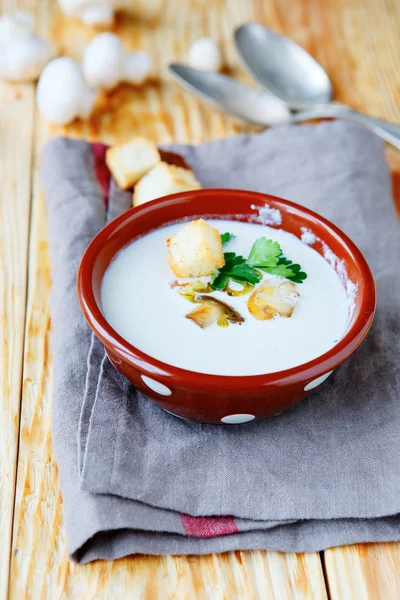 Pachnąca zupa grzybowa — Zdjęcie stockowe