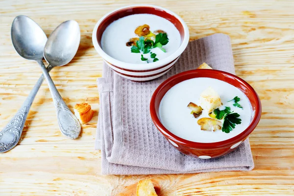 Dwie miski pachnące Zupa grzybowa — Zdjęcie stockowe