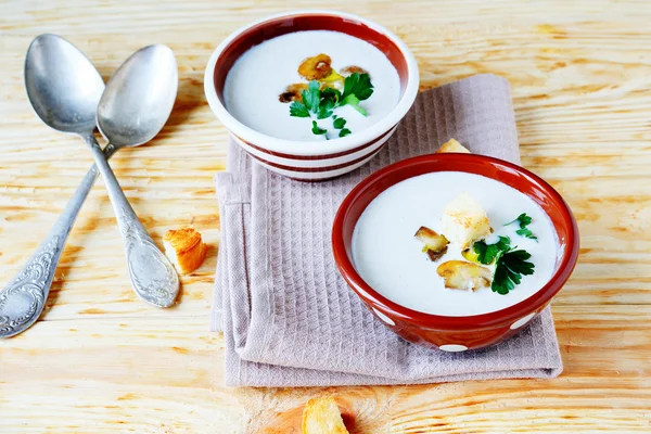 Two bowls of fragrant mushroom soup — Stock Image Two bowls of fragrant mushroom soup Royalty Free Stock Images