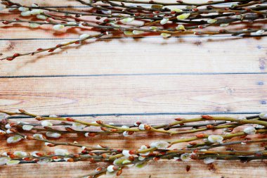Willow twigs ahşap zemin üzerinde
